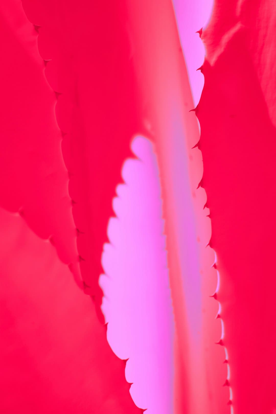 https://img3.utuku.imgcdc.com/650x0/news/20250905/01452559-0682-4e66-a0e5-474ba8a8cc5c.jpg